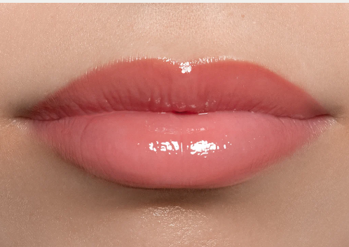 ANFISA ÂN-GLOSS Ceramide Lip Treatment