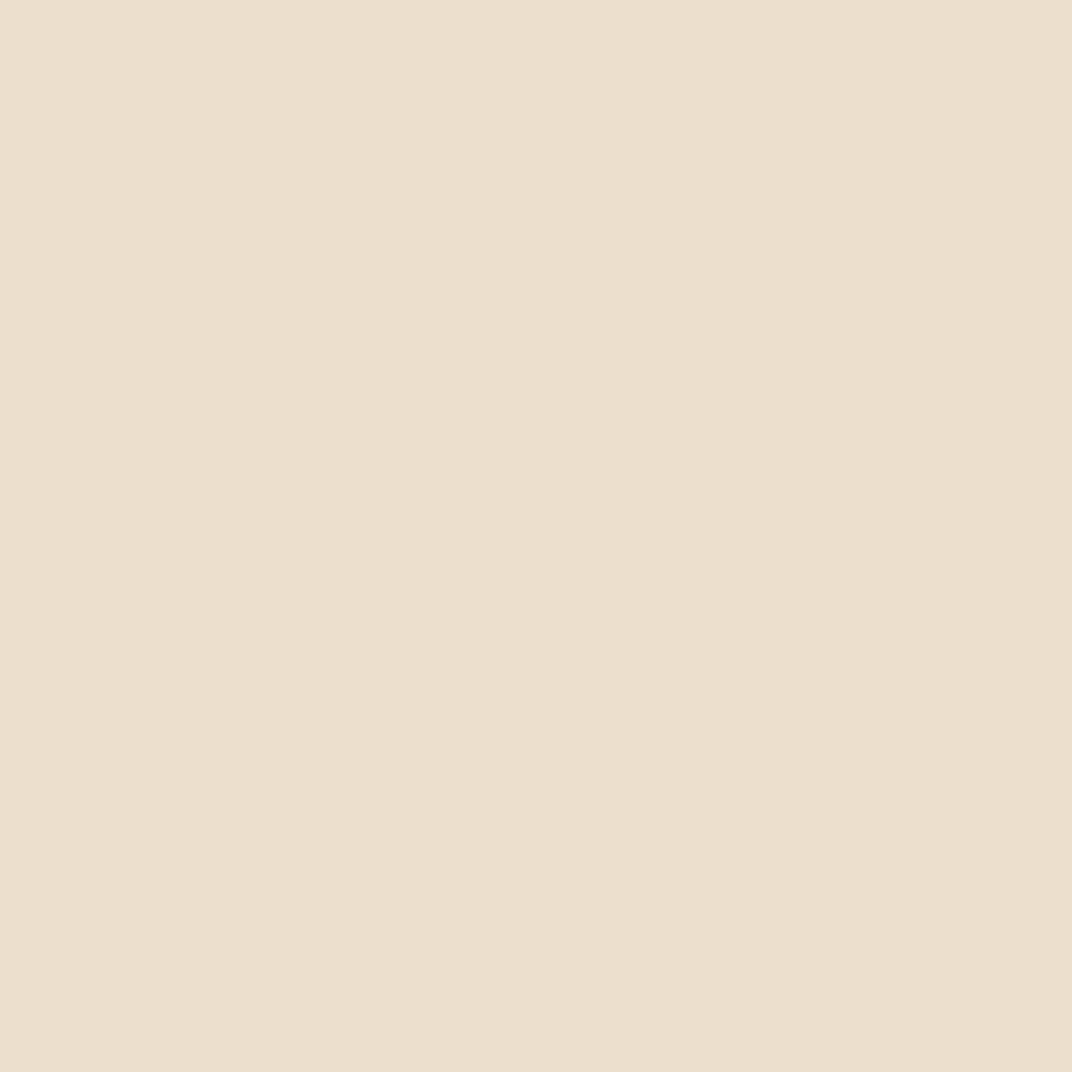 Sheer Fluid Tint Broad Spectrum SPF45